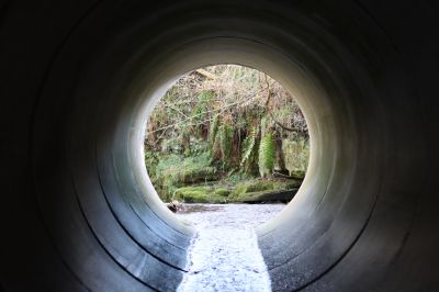 Culvert Replacement in Tuscaloosa, AL